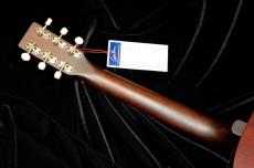 Art & Lutherie Roadhouse Tenessee Red A/E_5