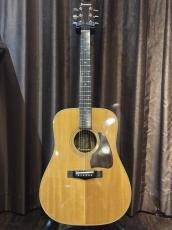 Ibanez AW-100