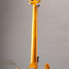 Gibson Grabber III (G-3)_8