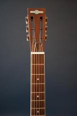 Delta Express Tricone Cutaway Vintage Copper_6