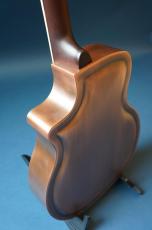 Delta Express Tricone Cutaway Vintage Copper_8