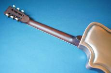 Delta Express Tricone Cutaway Vintage Copper_9
