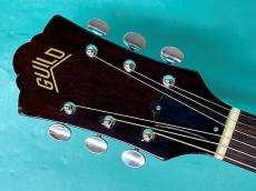 Guild D-25M_5