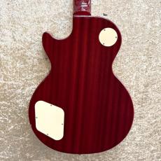 Epiphone Les Paul Standard Pro_2