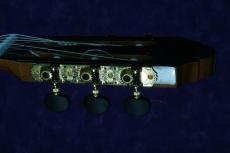 ARANJUEZ [アランフェス] B-15(バスギター)　オール単板_5