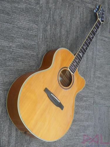 Paul Reed Smith [PRS] SE Angelus Standard