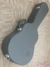 Paul Reed Smith [PRS] SE Angelus Standard_11