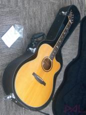 Paul Reed Smith [PRS] SE Angelus Standard_12