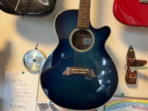 Takamine PT-106