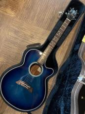 Takamine PT-106_3