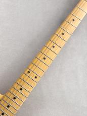 KING SNAKE Sidewinder CC -butterscotch Blonde- #0196 ≒3.12kg【新モデル!】【軽量個体】_5