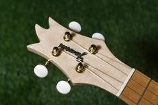 Famous FS-S10P/N Soprano_5