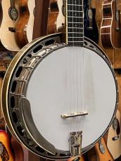 Acoustic Harmony/Dano  Custom 5Strings Resonator Banjo