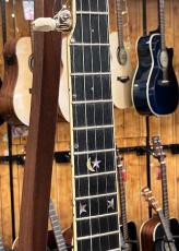 Acoustic Harmony/Dano  Custom 5Strings Resonator Banjo_4