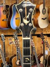 Acoustic Harmony/Dano  Custom 5Strings Resonator Banjo_5