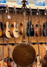 Acoustic Harmony/Dano  Custom 5Strings Resonator Banjo_6