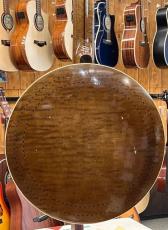 Acoustic Harmony/Dano  Custom 5Strings Resonator Banjo_7