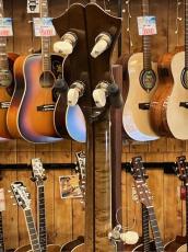 Acoustic Harmony/Dano  Custom 5Strings Resonator Banjo_8