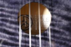 Famous FS-S10 BK Soprano_13