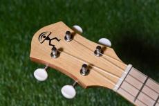 aNueNue UC10 AM Concert_5