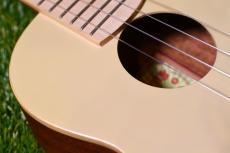 aNueNue UC10 AM Concert_10