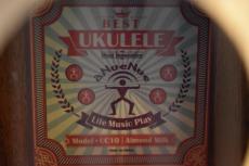 aNueNue UC10 AM Concert_15
