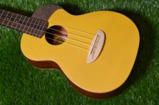 aNueNue UC10 GG Concert