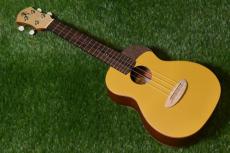 aNueNue UC10 GG Concert_2