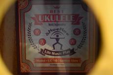 aNueNue UC10 GG Concert_15