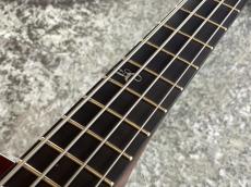 Landscape ARB-204 - Antique Violin Color -【3.42kg】【アウトレット特価】_5