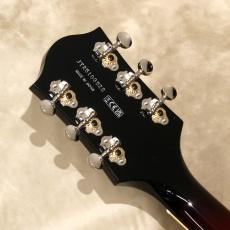 Gretsch G6119T-62 VS Vintage Select Edition '62 Tennessean_5