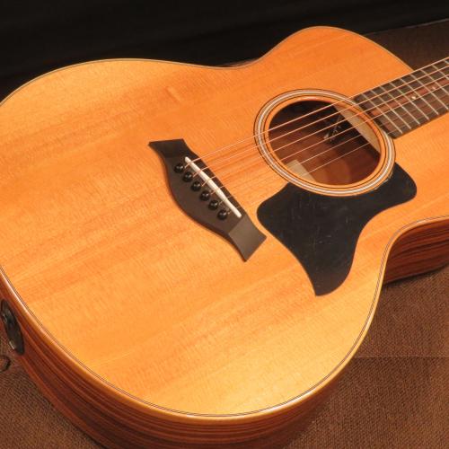 Taylor GS Mini-e Rosewood Plus【グロス仕上げ】
