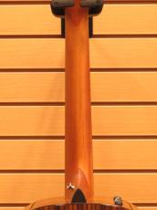 Taylor GS Mini-e Rosewood Plus【グロス仕上げ】_8