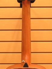 Taylor GS Mini-e Mahogany_8