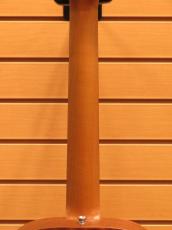 Taylor Baby Mahogany BT2-e_7