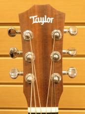 Taylor Baby Mahogany BT2-e_9