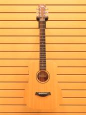 Taylor Baby Taylor BT1e  / Natural_3