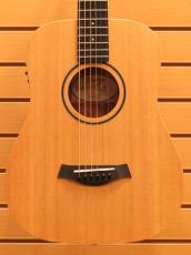 Taylor Baby Taylor BT1e  / Natural_4