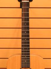 Taylor Baby Taylor BT1e  / Natural_7