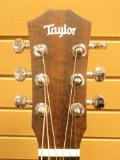 Taylor Baby Taylor BT1e  / Natural_9