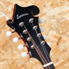 Eastman MD-515CC/TV_8