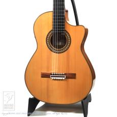 Camps FL-11C Flex BL