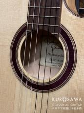 Orpheus Valley Guitars オルフェウス・ヴァレー・ギターズ  Flamenco Blanca【エレガット】【日本総本店2F在庫品】_3