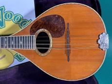 Martin STYLE-C_2