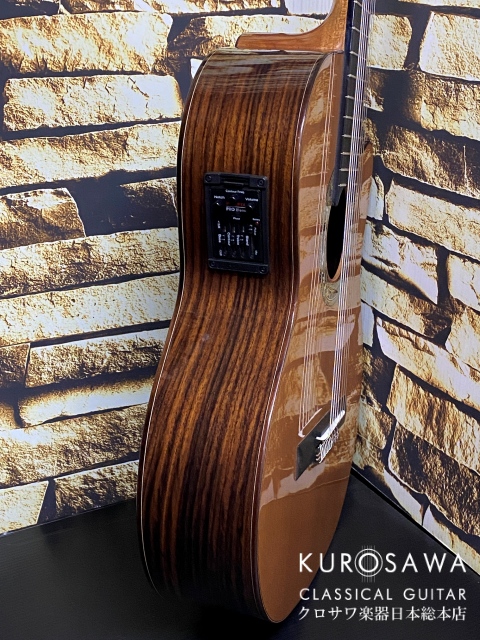 Orpheus Valley Guitars Orpheus Valley F65CW-7S 7弦