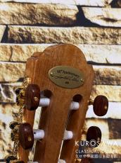 Orpheus Valley Guitars　オルフェウス・ヴァレー・ギターズ Model:90th Anniversary 杉・サントスローズウッド 【日本総本店2F 在庫品】_10