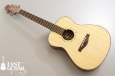 Voyager Guitars VA