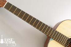 Voyager Guitars VA_3