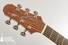 Voyager Guitars VA_4