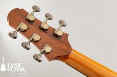 Voyager Guitars VA_5